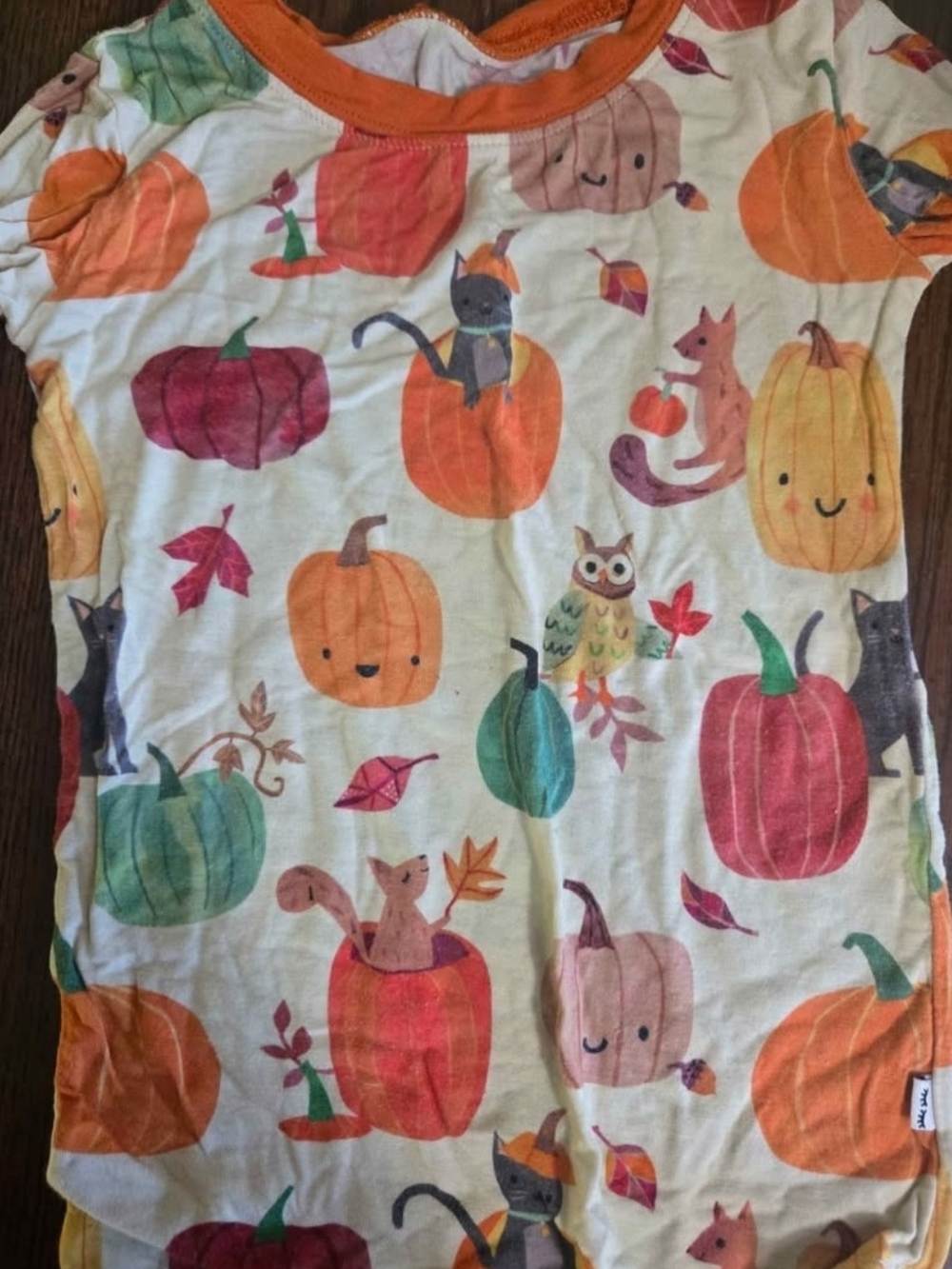 Little Sleepies Fall Jammied
